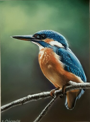 Painting titled "Martin pêcheur" by Cathy Cheneau, Original Artwork, Pastel