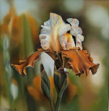 Malerei mit dem Titel "Iris" von Cathy Cheneau, Original-Kunstwerk, Pastell