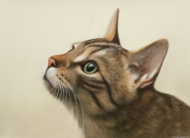 Malerei mit dem Titel "Portrait de chat" von Cathy Cheneau, Original-Kunstwerk, Pastell
