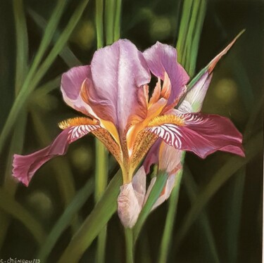 Painting titled "Iris violet" by Cathy Cheneau, Original Artwork, Pastel
