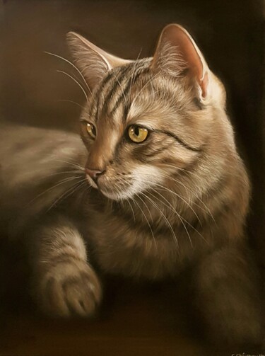 Painting titled "Chat dans l'ombre" by Cathy Cheneau, Original Artwork, Pastel