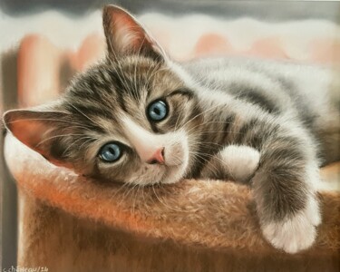 Painting titled "Chaton aux yeux ble…" by Cathy Cheneau, Original Artwork, Pastel