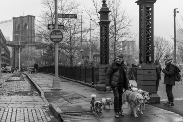 Photographie intitulée "dog-walk-2.jpg" par François Peltzer, Œuvre d'art originale