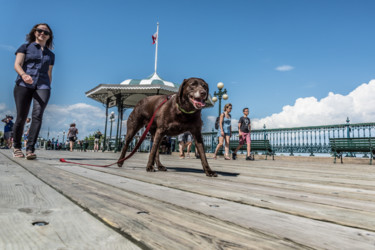 Photographie intitulée "Her dog" par François Peltzer, Œuvre d'art originale, Photographie numérique