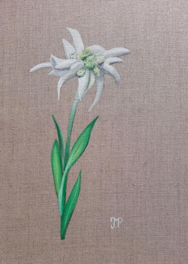 Painting titled "edelweiss" by Pen, Original Artwork, Oil Mounted on Wood Stretcher frame