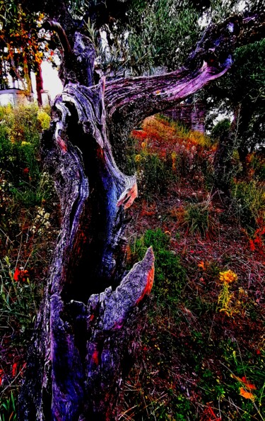 Arte digitale intitolato "Natura astratta" da Peppeluciani, Opera d'arte originale, Modellazione 3D