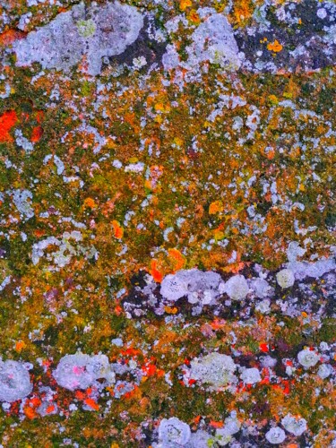 Arte digitale intitolato "Paesaggio di licheni" da Peppeluciani, Opera d'arte originale, Lavoro digitale 2D
