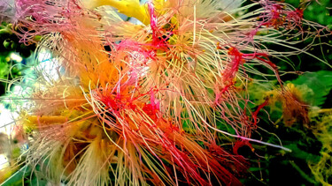 Fotografia zatytułowany „Astratto naturale 2” autorstwa Peppeluciani, Oryginalna praca, Manipulowana fotografia