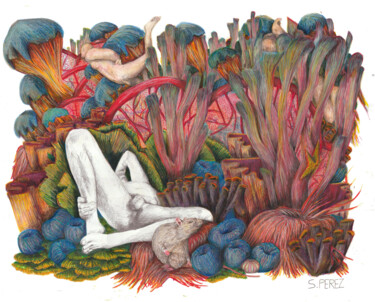 Dessin intitulée "Sieste" par Samuel Perez, Œuvre d'art originale, Crayon