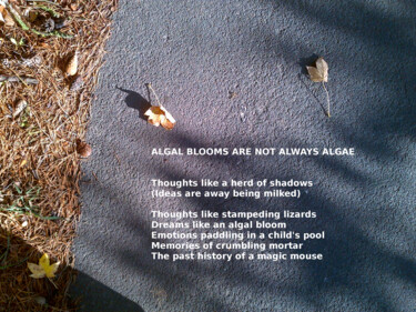 Digital Arts titled "Algal Blooms Are No…" by Pete Shepherd, Original Artwork, 2D Digital Work