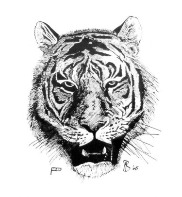Drawing titled "Tiger's head" by Davo, Original Artwork