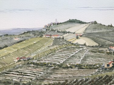 Painting titled "Italian vineyards" by Peter Blake, Original Artwork, Watercolor