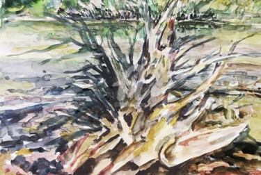 Malerei mit dem Titel "Baumwurzel am Seeuf…" von Peter Gesien, Original-Kunstwerk, Aquarell