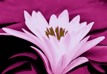 Arts numériques intitulée "Sundown-lotus" par Peter Jalesh, Œuvre d'art originale, Peinture numérique