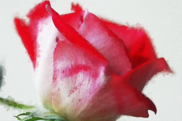 Digitale Kunst mit dem Titel "Rose" von Peter Reichel, Original-Kunstwerk