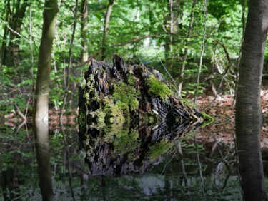 Fotografie mit dem Titel "Mystic" von Peter Reichel, Original-Kunstwerk