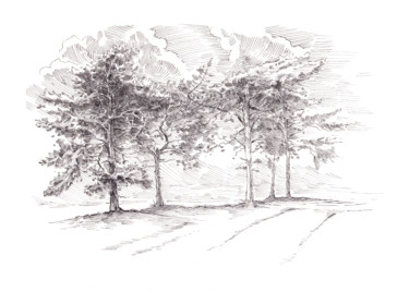 Drawing titled "Pine Trees Morning…" by Aleksandr Petrunin, Original Artwork, Ink