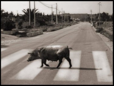 Fotografia intitolato "Across the Road" da Maria Novella Petruso, Opera d'arte originale
