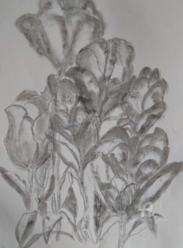 Dessin intitulée "Tulipes" par Marie Phebidias, Œuvre d'art originale, Fusain
