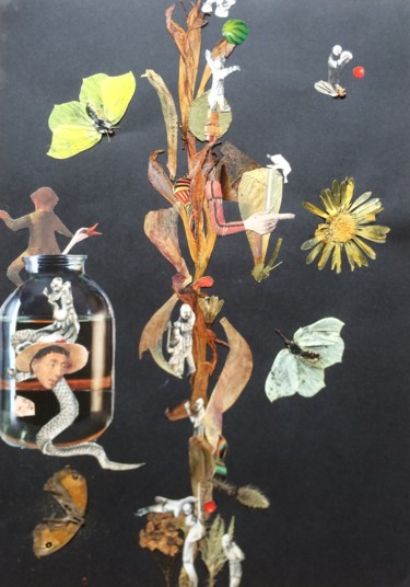 Collages titled "Living Tree." by Phil Colisov, Original Artwork, Other