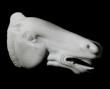 Scultura intitolato "testa di cavallo" da Filippo Liardo, Opera d'arte originale, Pietra
