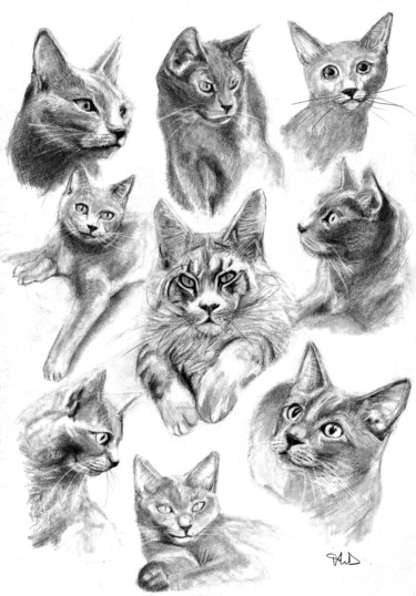 Drawing titled "Miaous" by Philip Dietrich, Original Artwork, Graphite