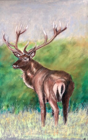 Drawing titled "Le grand cerf" by Philippe Allier, Original Artwork, Pastel
