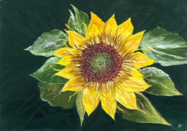 Drawing titled "Tournesol" by Philippe Allier, Original Artwork, Pastel