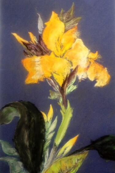 Dessin intitulée "Iris jaune" par Philippe Allier, Œuvre d'art originale, Pastel