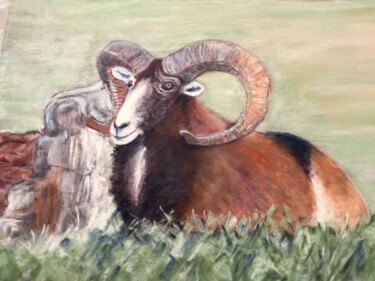 Tekening getiteld "Mouflon au repos." door Philippe Allier, Origineel Kunstwerk, Pastel