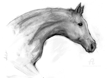 Drawing titled "Tête de cheval" by Philippe Alliet, Original Artwork, Ink