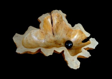 Sculpture intitulée "L'huître" par Philippe Ardy, Œuvre d'art originale, Bois