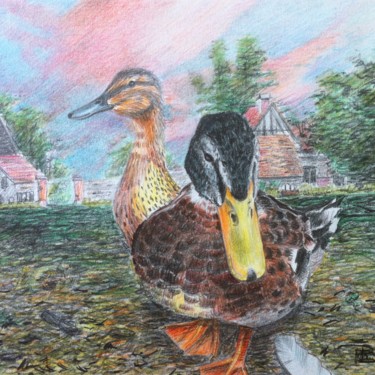 Drawing titled ""les canards"" by Philippe Barluet, Original Artwork, Pencil