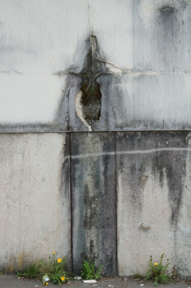 Photographie intitulée "Crucifixion d'un pi…" par Philippe Bastin, Œuvre d'art originale, Photographie non manipulée