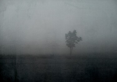Fotografie mit dem Titel "alone........." von Philippe Berthier, Original-Kunstwerk, Digitale Fotografie