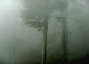 Photographie intitulée "Quand la brume fut…" par Philippe Berthier, Œuvre d'art originale, Photographie numérique