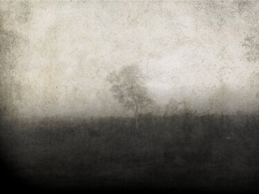 Photographie intitulée "Au milieu de nulle…" par Philippe Berthier, Œuvre d'art originale, Photographie numérique