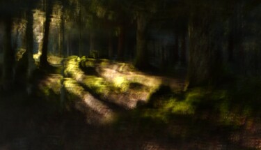 Photographie intitulée "The Forest....." par Philippe Berthier, Œuvre d'art originale, Photographie numérique