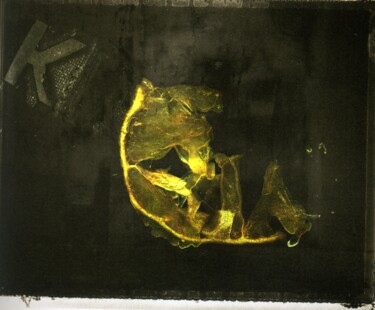 Arte digital titulada "Zest de Citron" por Philippe Berthier, Obra de arte original, Foto-montaje