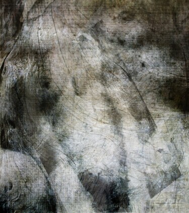 Arts numériques intitulée "L'arbre Femme....." par Philippe Berthier, Œuvre d'art originale, Photo montage