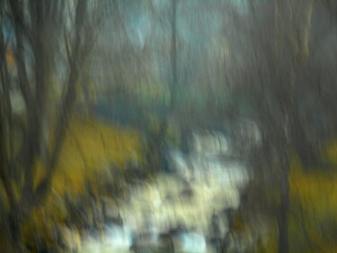 Photography titled "Osmose....." by Philippe Berthier, Original Artwork, Digital Photography