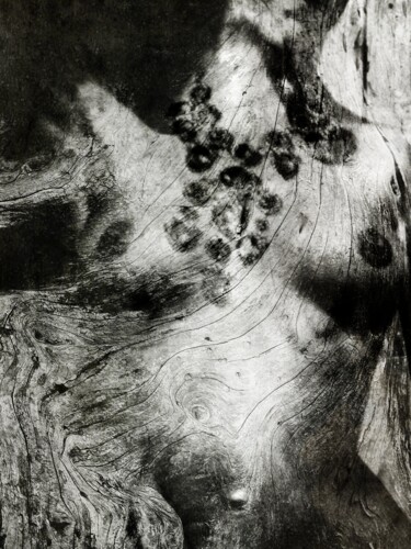 Photography titled "Le Collier de la Re…" by Philippe Berthier, Original Artwork, Manipulated Photography