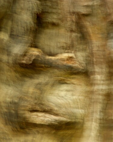 Photographie intitulée "Tronc d'arbre....." par Philippe Berthier, Œuvre d'art originale, Photographie numérique