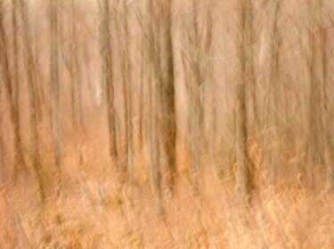 Photography titled "Vibrations....." by Philippe Berthier, Original Artwork, Digital Photography
