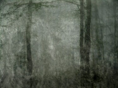 Photography titled "Les jardins du Roi.…" by Philippe Berthier, Original Artwork, Manipulated Photography