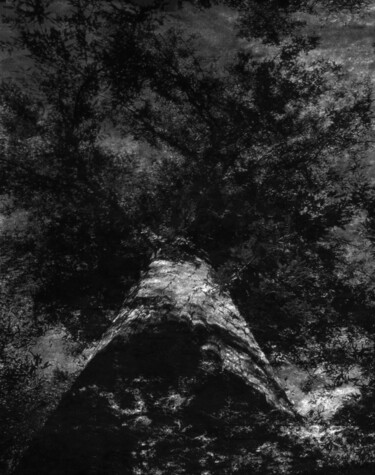 Photographie intitulée "L'envol de l'Arbre.…" par Philippe Berthier, Œuvre d'art originale, Photographie numérique