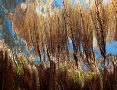 Photographie intitulée "Algues sèchées.....…" par Philippe Berthier, Œuvre d'art originale, Photographie numérique