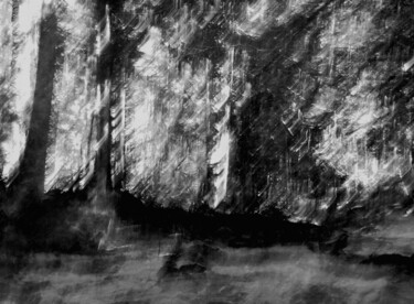 Fotografie getiteld "Feu de forêt......." door Philippe Berthier, Origineel Kunstwerk, Digitale fotografie