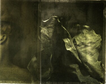 Photography titled "ELEPHANT" by Philippe Berthier, Original Artwork, Manipulated Photography