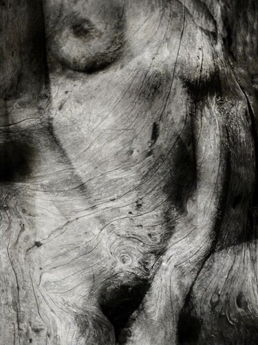 Photography titled "Féminin" by Philippe Berthier, Original Artwork, Digital Photography
